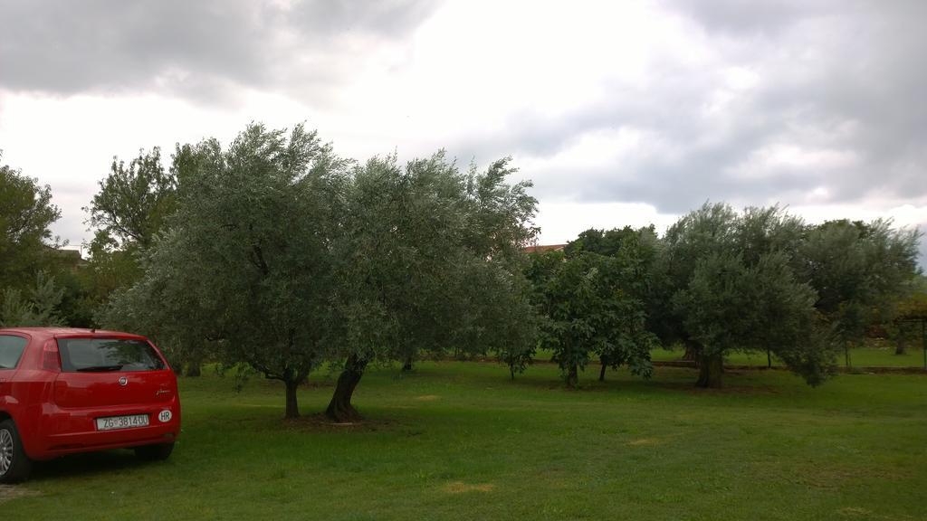 Apartments Free Parking Big Garden Peroj Rum bild